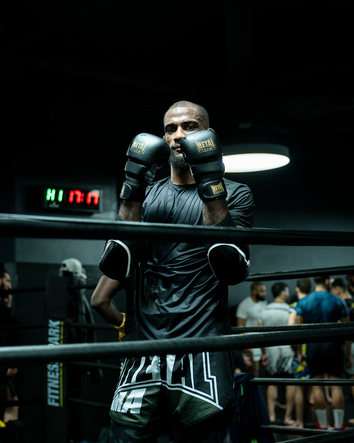 LEGACY MMA SPARRING GLOVES