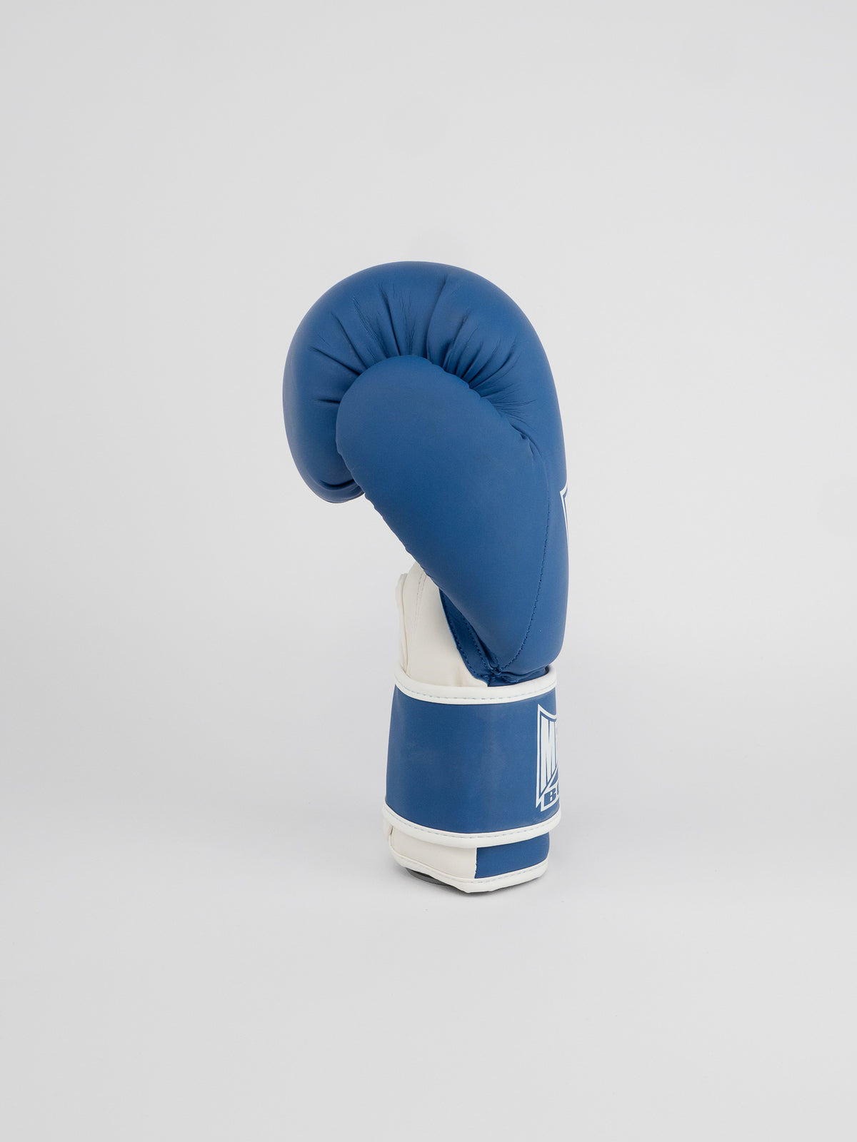 BLUE TRAINING BOXING GLOVES